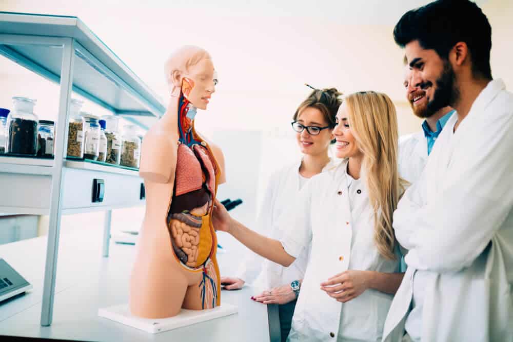 دندانپزشکی ترکیه